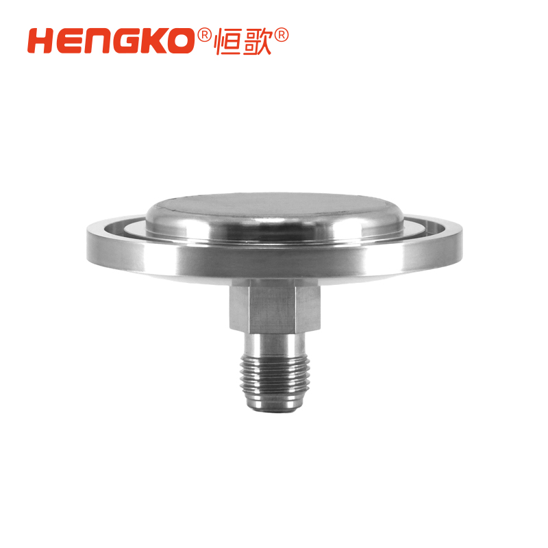 供應(yīng)半導體大宗氣體終端晶圓制程工藝氣體全金屬氣體過濾器 Featured Image