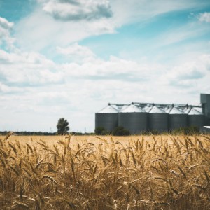 恒歌智能監(jiān)控溫濕度環(huán)境監(jiān)測(cè)解決方案 智慧糧倉溫濕度監(jiān)控系統(tǒng)