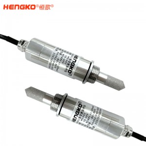 空壓機(jī)專用露點(diǎn)儀丨 高精度微量水分監(jiān)測(cè)露點(diǎn)儀丨變送器生產(chǎn)廠家